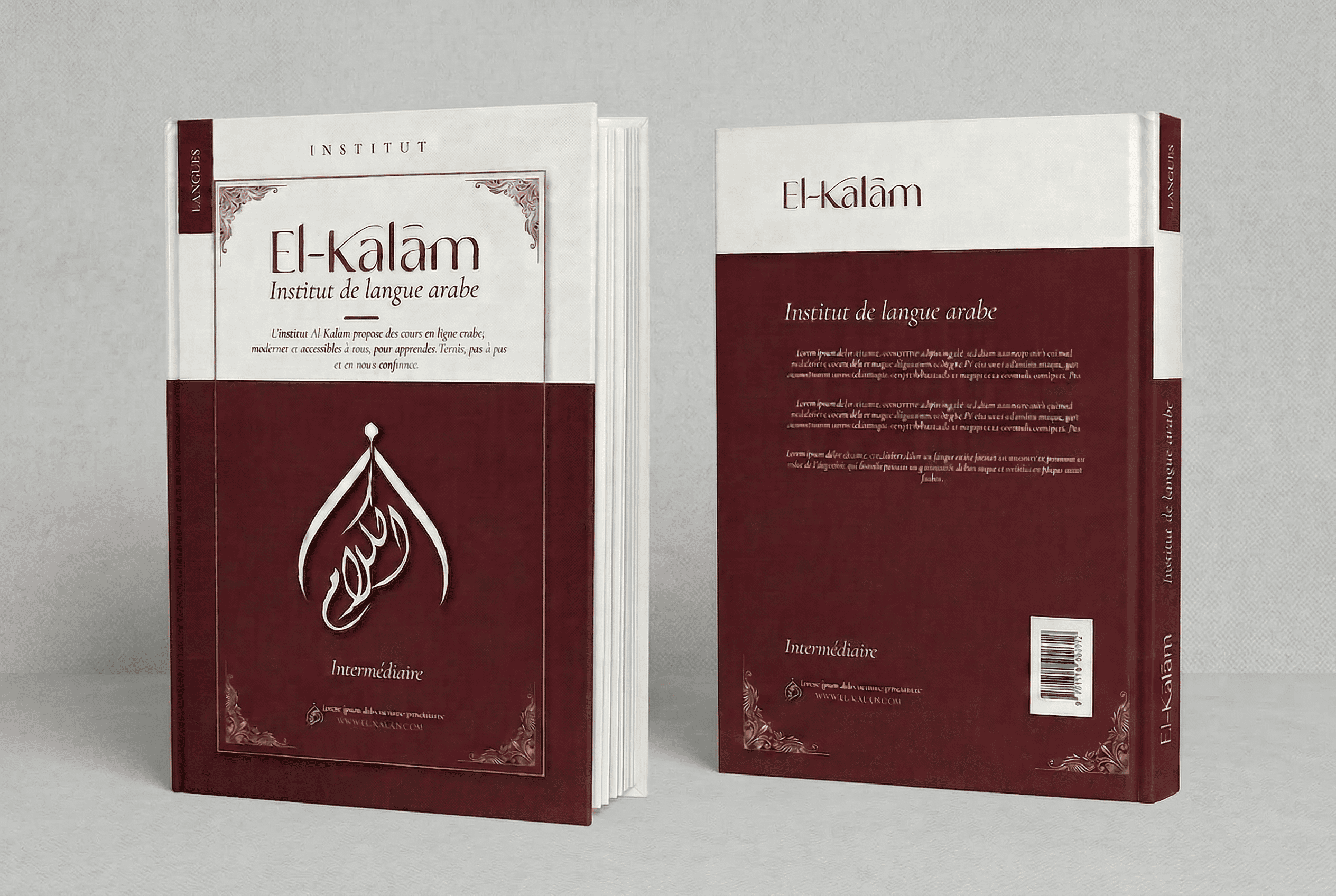 livre intermediaire debout fond gris